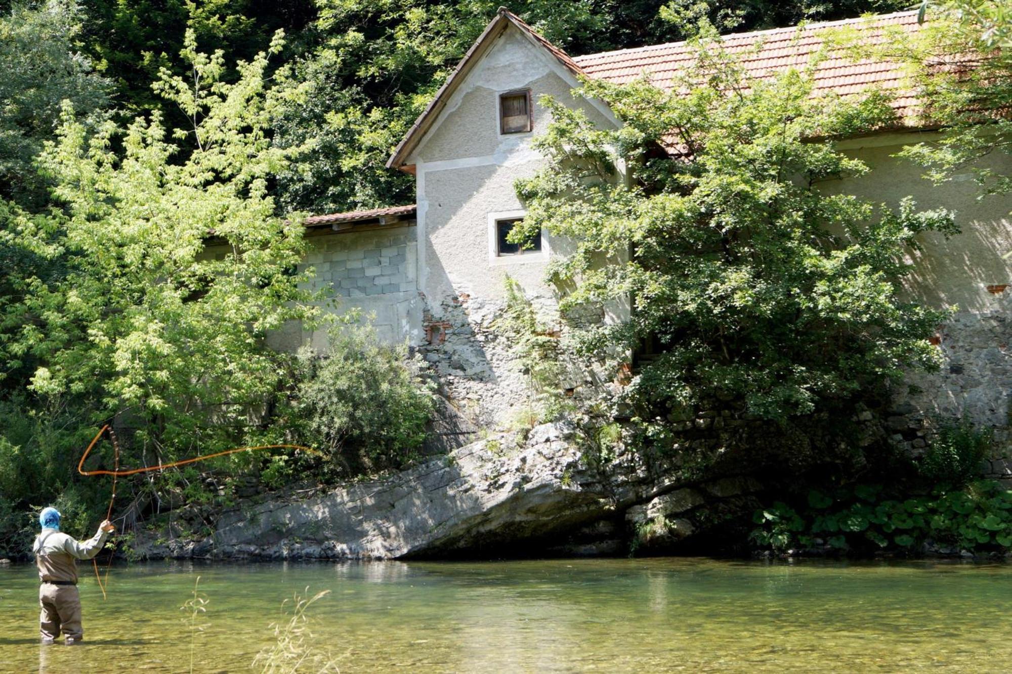 House Na Meji With Sauna - Happy Rentals Pivka Exteriér fotografie